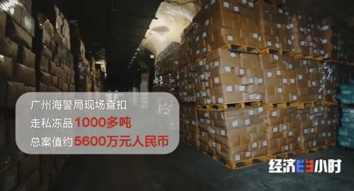 海關重拳出擊 查獲走私凍品4.9萬噸，部分竟源自非洲豬瘟高發疫區，國內貿易代理敲響安全警鐘